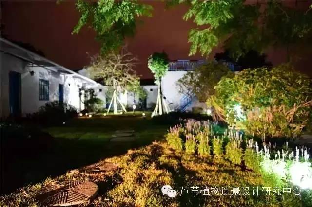 超能奶爸180天为孩子DIY出一个属于自家的农场