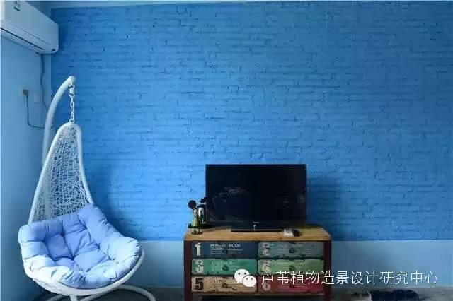 超能奶爸180天为孩子DIY出一个属于自家的农场