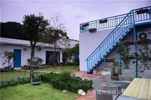 超能奶爸180天为孩子DIY出一个属于自家的农场