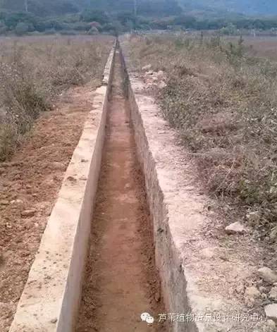 超能奶爸180天为孩子DIY出一个属于自家的农场