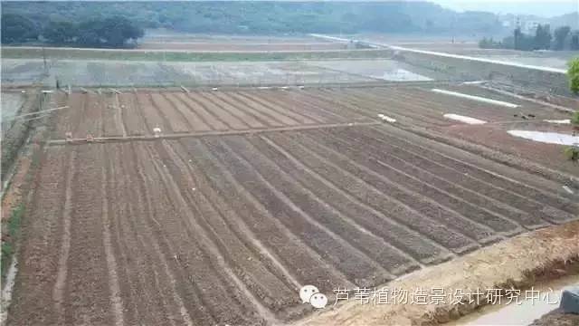 超能奶爸180天为孩子DIY出一个属于自家的农场