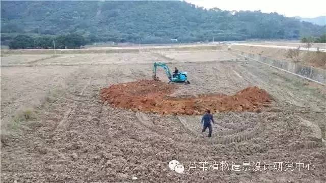 超能奶爸180天为孩子DIY出一个属于自家的农场