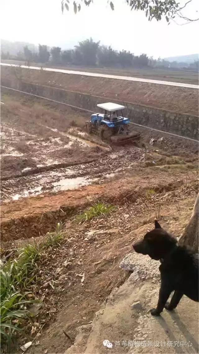 超能奶爸180天为孩子DIY出一个属于自家的农场