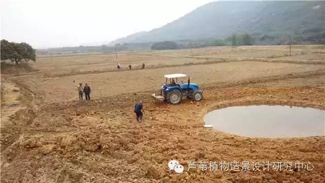 超能奶爸180天为孩子DIY出一个属于自家的农场