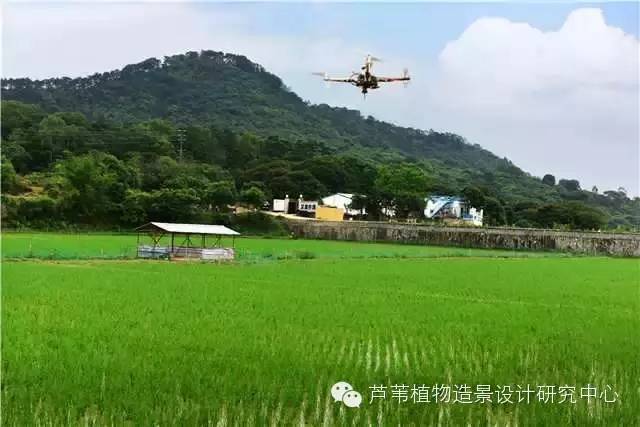 超能奶爸180天为孩子DIY出一个属于自家的农场