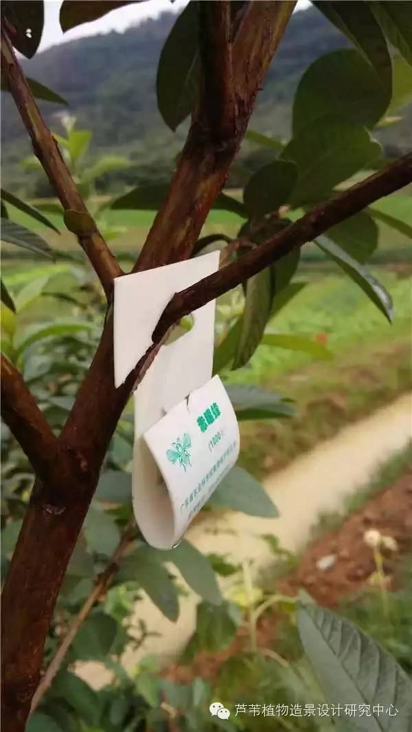 超能奶爸180天为孩子DIY出一个属于自家的农场