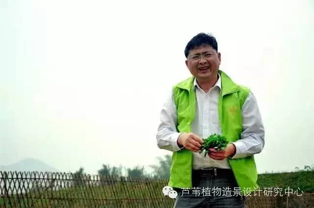 超能奶爸180天为孩子DIY出一个属于自家的农场