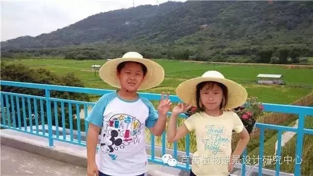 超能奶爸180天为孩子DIY出一个属于自家的农场