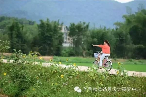 超能奶爸180天为孩子DIY出一个属于自家的农场