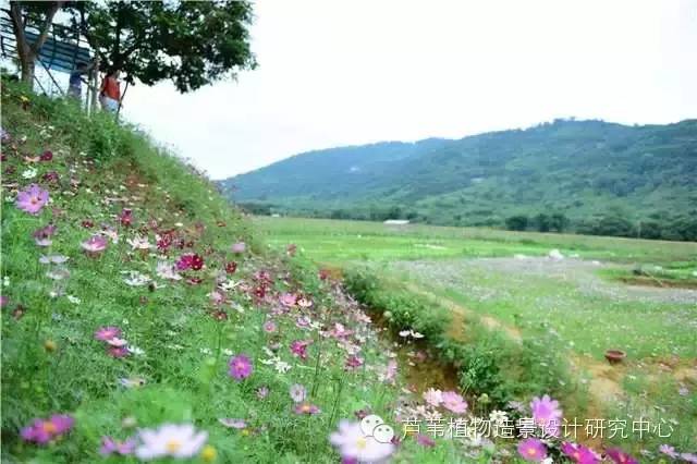 超能奶爸180天为孩子DIY出一个属于自家的农场