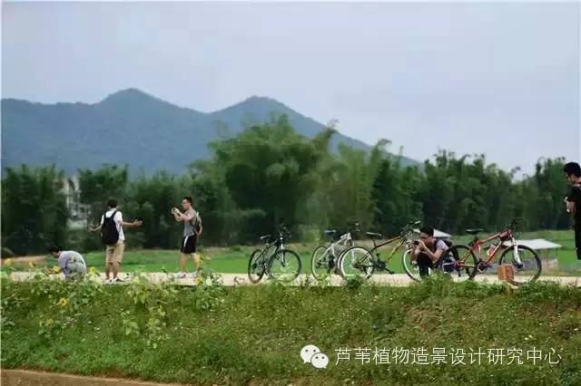 超能奶爸180天为孩子DIY出一个属于自家的农场