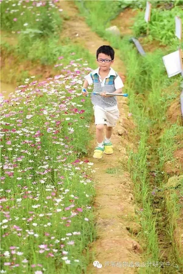 超能奶爸180天为孩子DIY出一个属于自家的农场