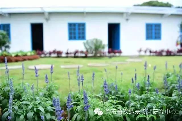 超能奶爸180天为孩子DIY出一个属于自家的农场