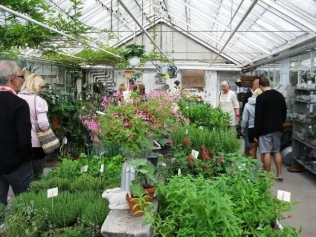 农场+农家乐早就过时了，农场+时尚餐厅才是王道！