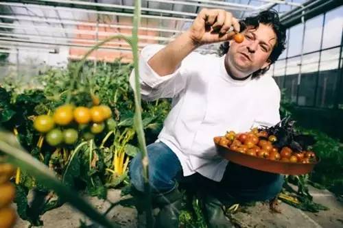 农场+农家乐早就过时了，农场+时尚餐厅才是王道！