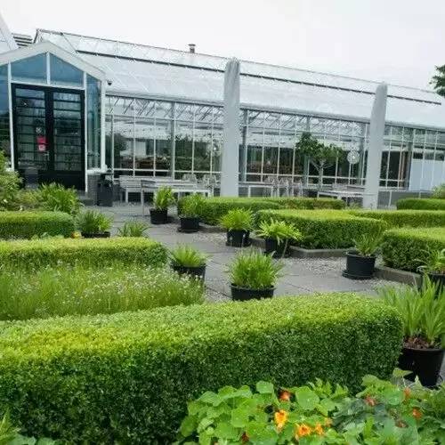 农场+农家乐早就过时了，农场+时尚餐厅才是王道！