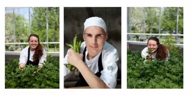 农场+农家乐早就过时了，农场+时尚餐厅才是王道！