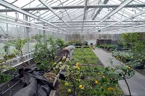 农场+农家乐早就过时了，农场+时尚餐厅才是王道！