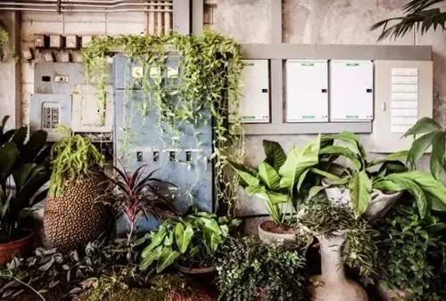 农场+农家乐早就过时了，农场+时尚餐厅才是王道！