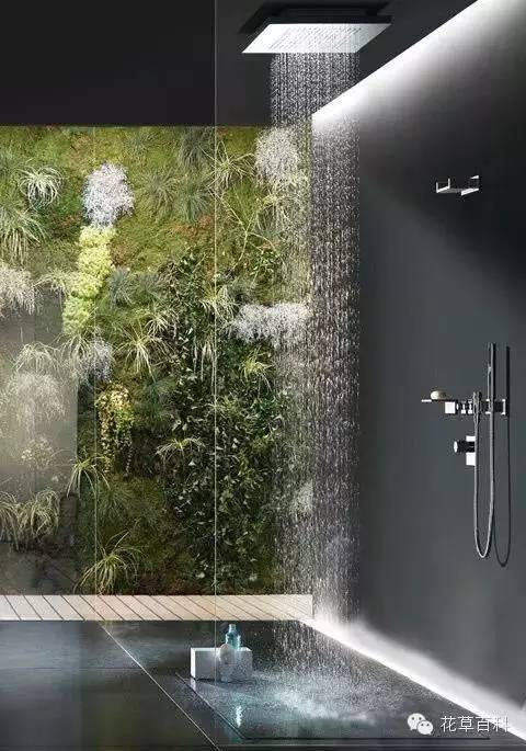 洗手间种满植物是什么感觉？