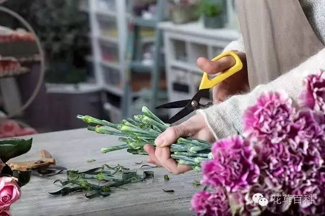 5步，让瓶中鲜花绽放更持久