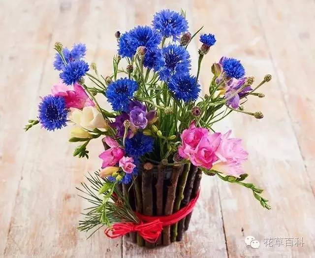 5步，让瓶中鲜花绽放更持久