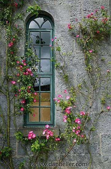 风情万种的世界各地门窗花卉欣赏