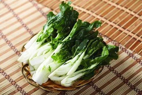 几种适合在阳台上种的菜