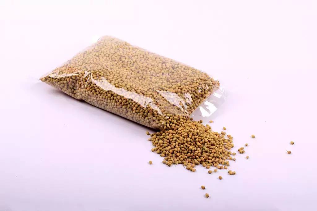 播种前种子的处理