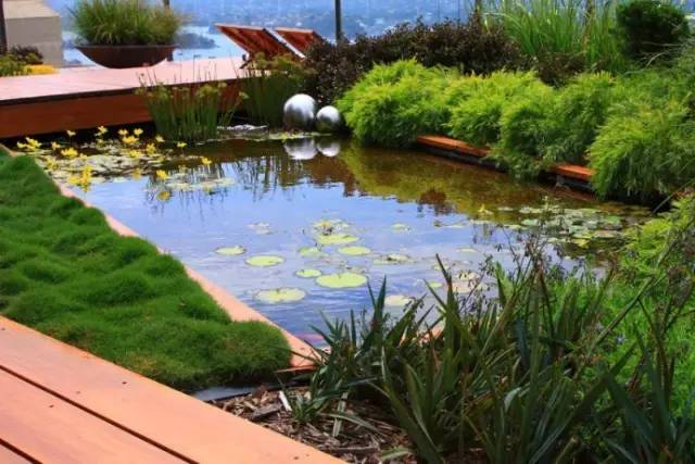 全新屋顶花园 有没有你喜欢的款？