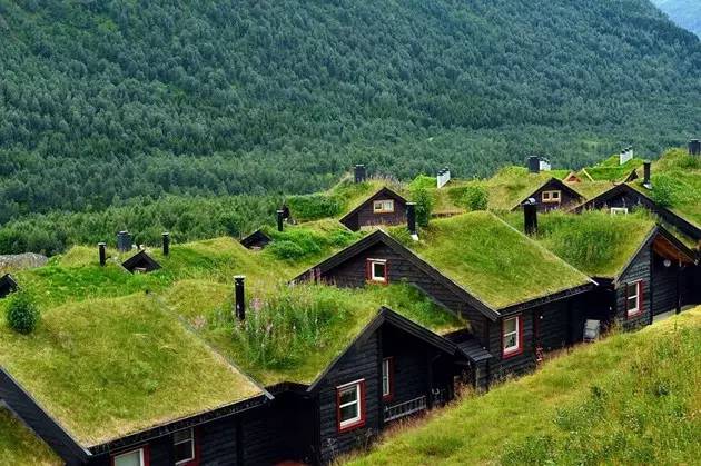 挪威绝美绿色屋顶