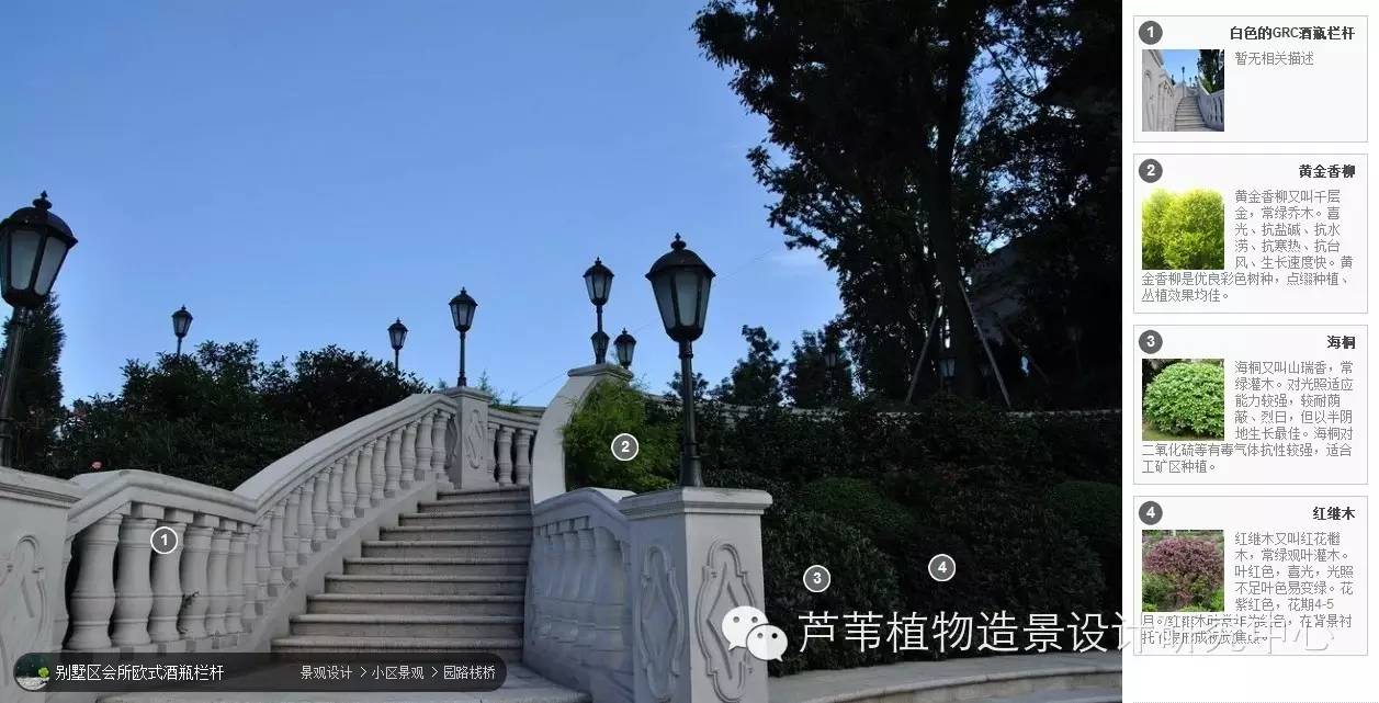 全国各地经典植物配置实景赏析