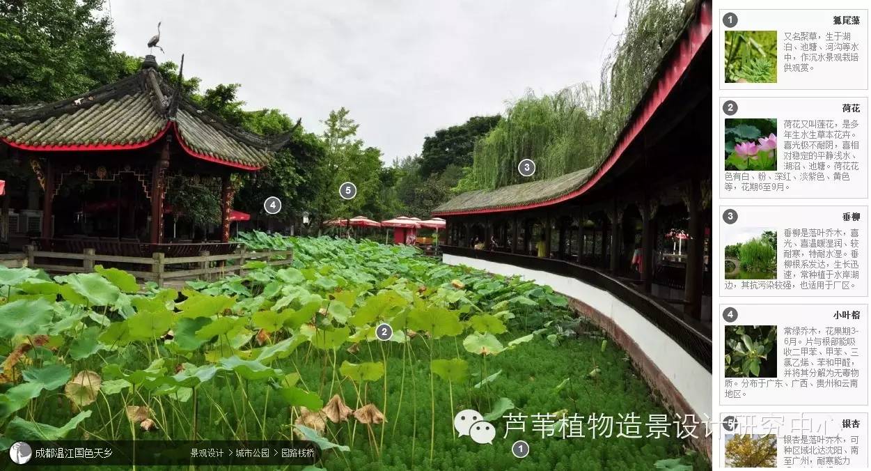 全国各地经典植物配置实景赏析