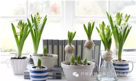 史上最给力的万能花历