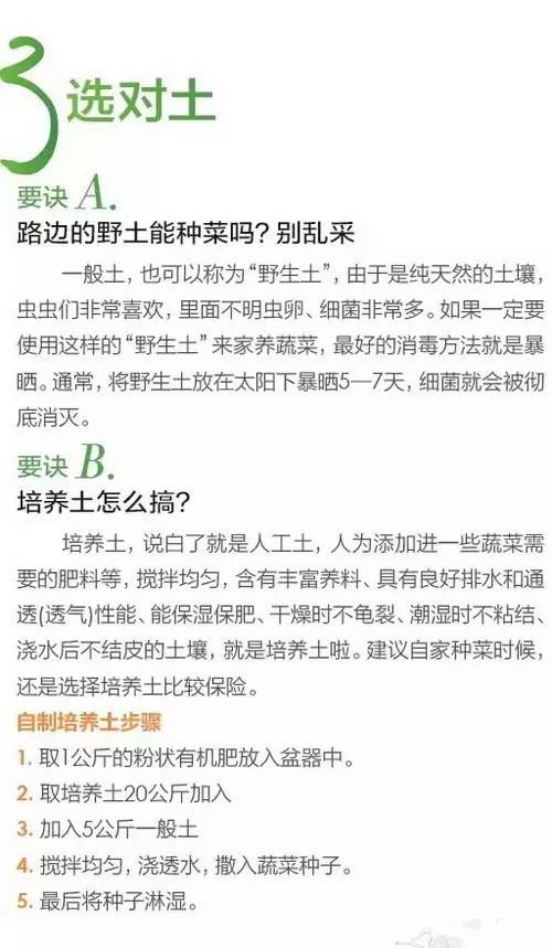 关于阳台种菜，你一定要知道的那些事