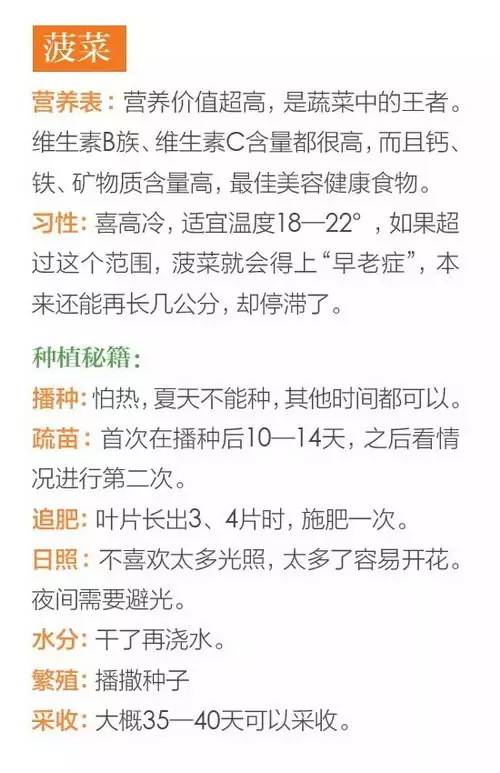 关于阳台种菜，你一定要知道的那些事