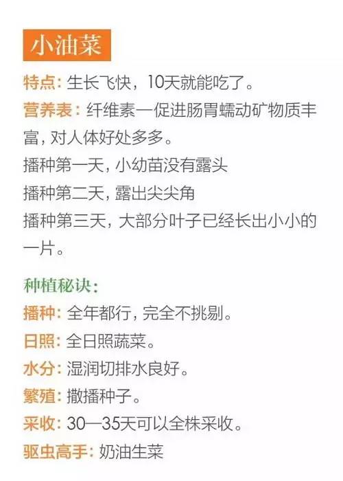 关于阳台种菜，你一定要知道的那些事
