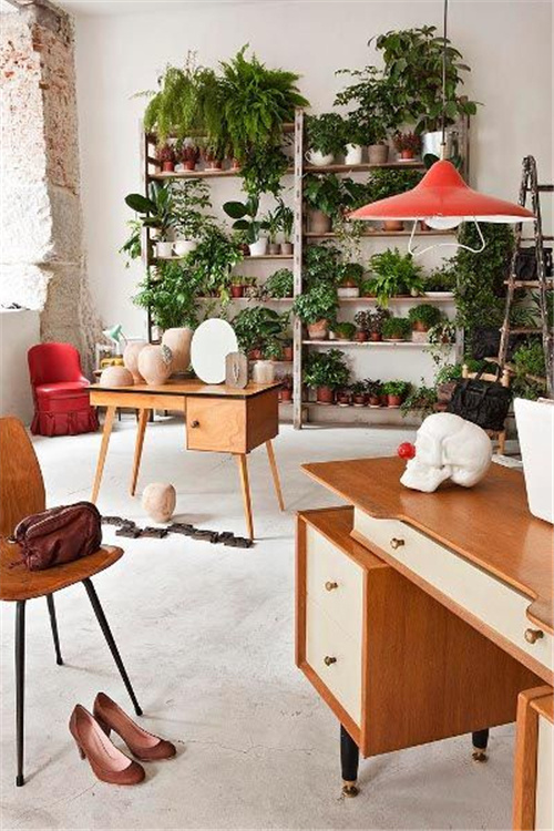 花架，让居家更美好！