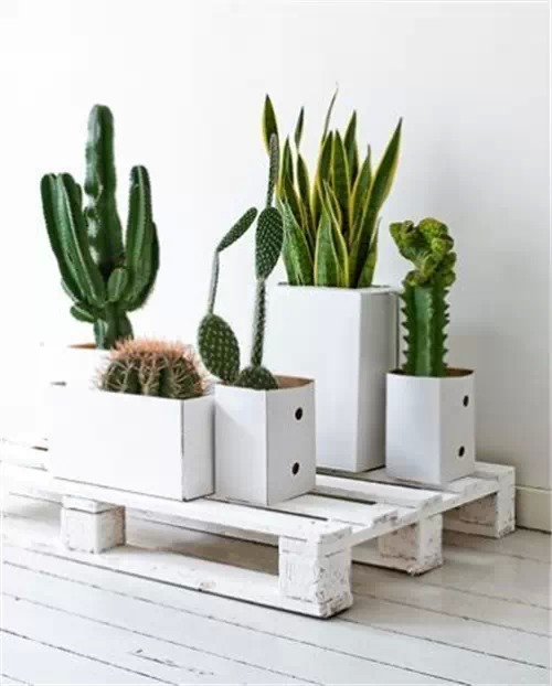 花架，让居家更美好！