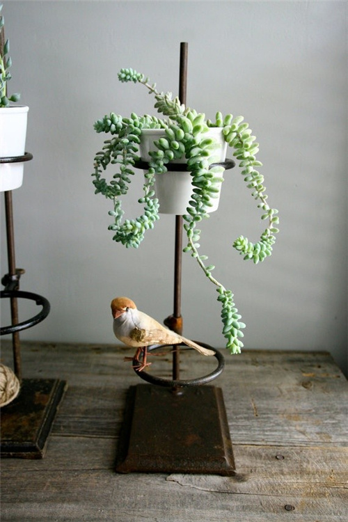 花架，让居家更美好！