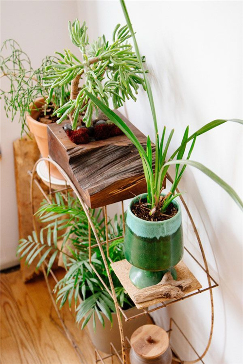 花架，让居家更美好！