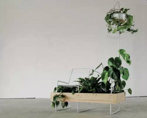 花架，让居家更美好！