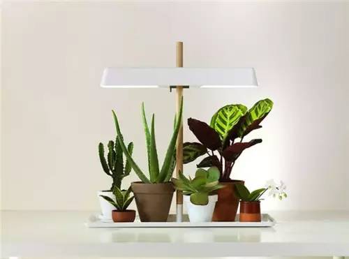 花架，让居家更美好！