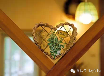 一抹绿代表生机