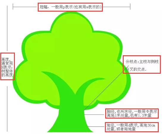 史上最全苗木术语及绿化工程常用名词