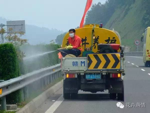 园林植物及其养护技术要点与质量控制