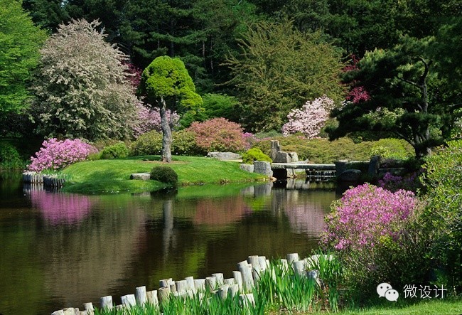 令人流连忘返的杜鹃花园