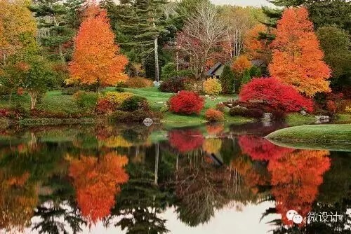 令人流连忘返的杜鹃花园