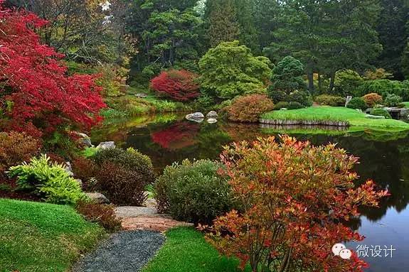 令人流连忘返的杜鹃花园