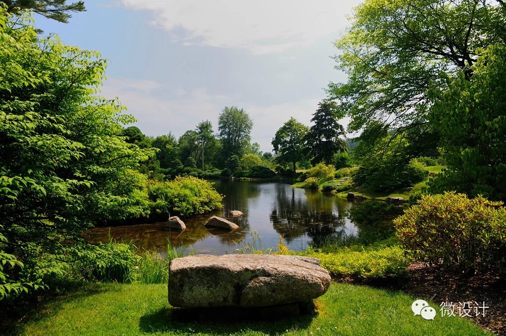 令人流连忘返的杜鹃花园